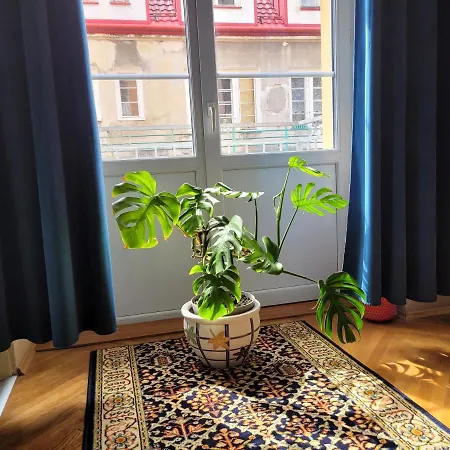 Meran Mini-hôtel 3*