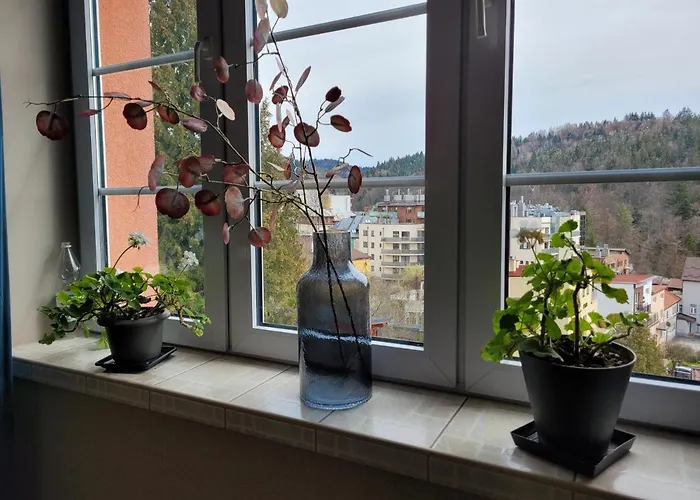 Πανδοχείο Meran 3*